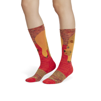 Eric Carle Big Brown Bear Calf Socks